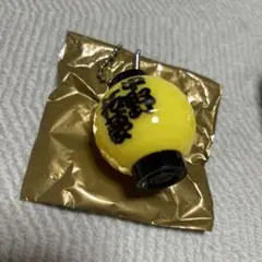 阪神タイガース 提灯ライトキーホルダー 中野