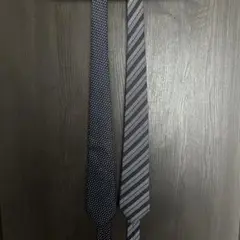 ERMENEGILDO ZEGNA ネクタイ ネイビー2本セット