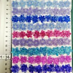 紫陽花　てまりてまり　　NoM-34　染色と自然　　押し花　押し花素材