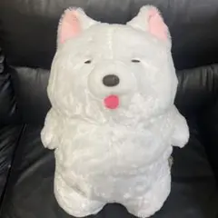 Item thumbnail for item c22faf94-154c-45b3-a1f8-5b2f4d2821f1