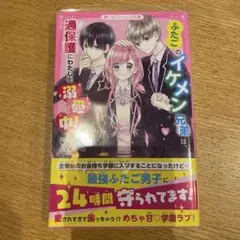 ふたごのイケメン兄弟は、過保護にわたしを溺愛中!