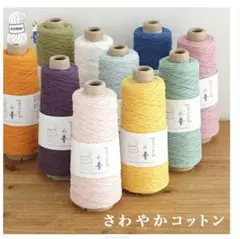 PIERRO さわやかコットン　セット