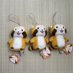 ラスカル ぬいぐるみ 3体セット 【1体からでも可】