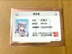 からぴちパラダイス2025 トレーディング学生証 どぬく