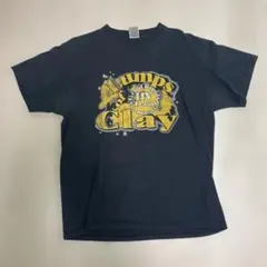 FRUIT OF THE LOOM Tシャツ Lサイズ