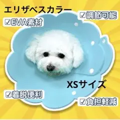 Item thumbnail for item d94a6f16-fd88-4e68-8532-df757797bbff