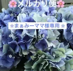2025年最新】鬼木 紫陽花の人気アイテム - メルカリ