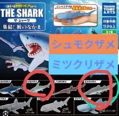 Item thumbnail for item a10ecbcc-07e3-4825-976e-a6d568da264c