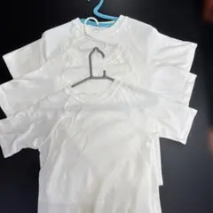 ホワイト コットン 半袖Tシャツ M 3枚セット