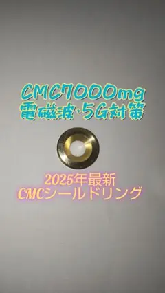 Item thumbnail for item d4062c57-656b-4a40-9d46-dc5188fbf520