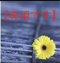 【専用になります】カズト・ラブ様