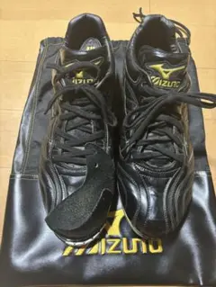 ミズノプロ　野球用スパイク　ブラック　28㎝