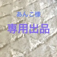 専用出品です♪