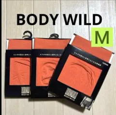 ★368【GUNZE】グンゼ BODY WILD ボクサー 前とじＭ 3枚