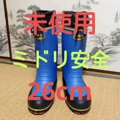 Item thumbnail for item 5e338222-fdef-4c1f-b323-700db93c42f8