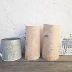 Item thumbnail for item 4e4c0dc9-1810-430f-a0f0-5561f1df0df9