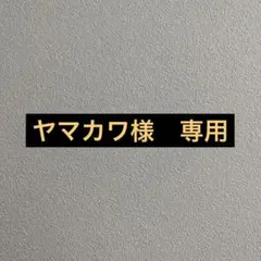 ヤマカワ様 専用 コメント
