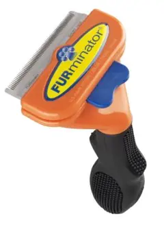 Item thumbnail for item 321dd144-5327-4fb4-9445-650f084b2fd7