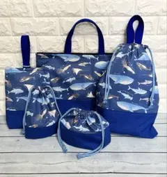 入園入学5点セット　海の生き物