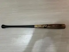 Item thumbnail for item 56e30fb5-10fc-4672-bd09-cba6c134794f