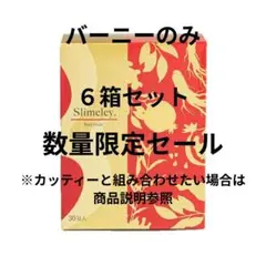 2025年最新】スリムレイ バーニーの人気アイテム - メルカリ
