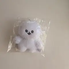 正反対な君と僕