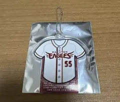 楽天イーグルス あくりるきーほるだ～ 安田悠馬