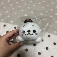 中川浩太 41 コタラシ ジャイアンツ 巨人 パペット 肩乗りマスコット 新品