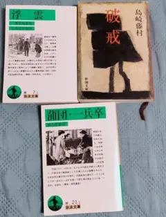 破戒　浮雲　蒲団　自然主義小説３冊セット　近代文学