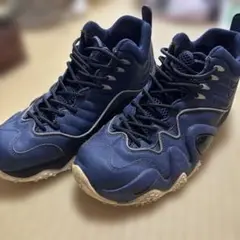 NIKE ZOOM AIR KIDO 29cm