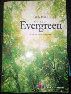 【美品】Evergreen エバーグリーン　英語文法　高校　参考書