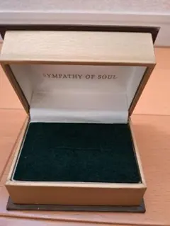 SYMPATHY OF SOUL リングケース