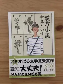 漢方小説