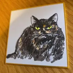 ギャングな猫