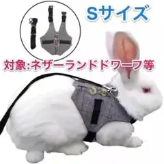 Item thumbnail for item a2185607-3825-4e9d-a0da-714ea824e681