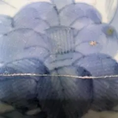 古伊万里　椿花江戸後期直径14cm半分に割れ…直されています。