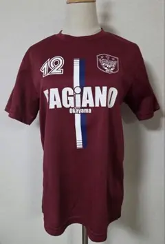 【激レア】ファジアーノ岡山 2015年 ユニフォーム オフィシャルグッズ M