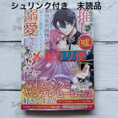 推し(嘘)の筆頭魔術師様が「俺たち、両思いだったんだね」と溺愛してくるんですが…