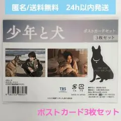 【新品未開封】 映画 少年と犬　ポストカードセット 3枚