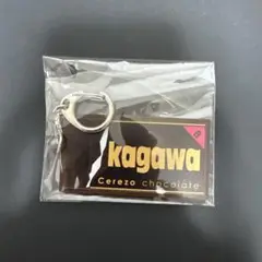 香川真司 セレッソ大阪