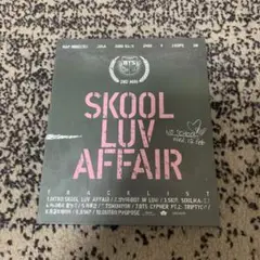 SKOOL LUV AFFAIR