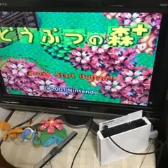 どうぶつの森+ ゲームキューブ　起動確認済み