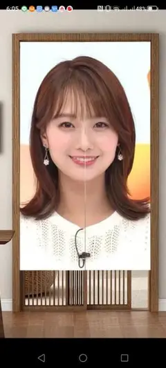 "めざましテレビ⏰️井上さん"ドアカーテン 85cm x 150cm