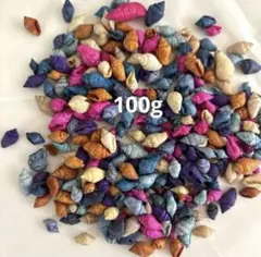 ナサシェル（小さな巻貝）シェルパーツ【約1.0～1.5㎝】100g