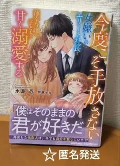 ☆　今度こそ手放さない　水島忍　ルネッタブックス　TL小説