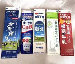 牛乳パック　9本　未解体　折りたたみあり