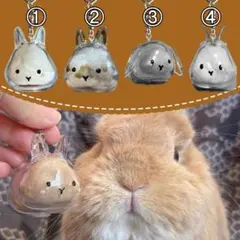 Item thumbnail for item 9bfab01d-9a42-4e52-b2ff-4477d113cdee