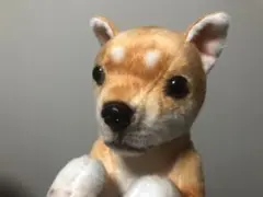新品未使用　犬のぬいぐるみ