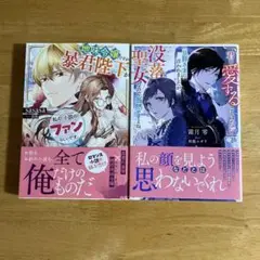 小説　「地味令嬢ですが、暴君陛下が私の(小説の)ファンらしいです。」　他
