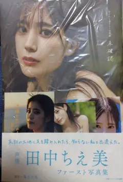 新品未使用　田中ちえ美1st写真集 未確認　ブロマイドセット
